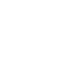 Companionship and conversation